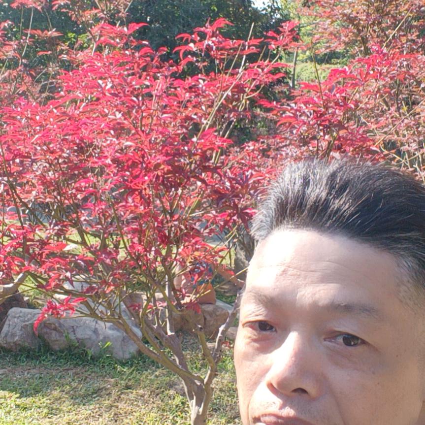 太极总部