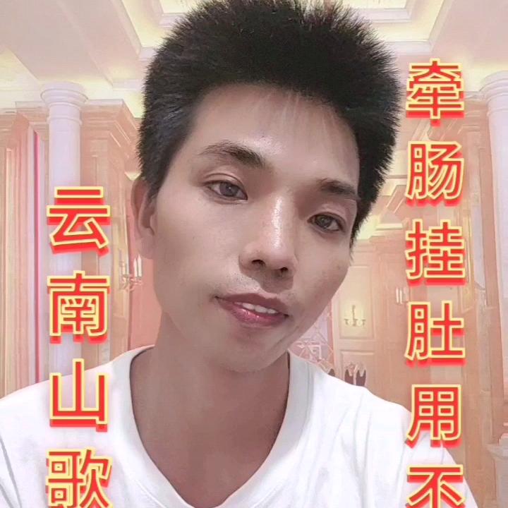 黔西山歌王子小号