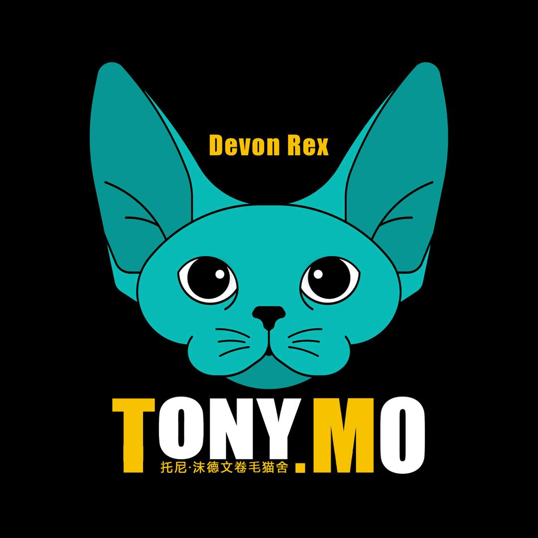 TONY MO德文卷毛猫舍