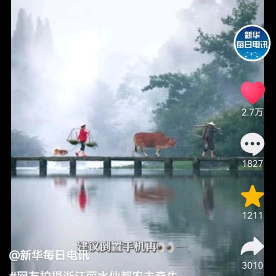 可爱的小猴子