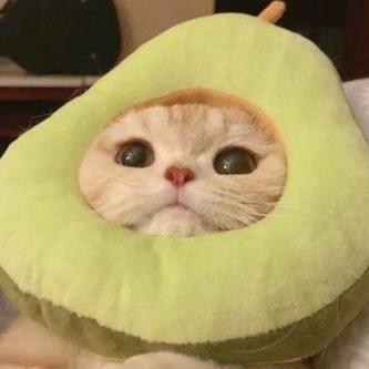 尐涵啊
