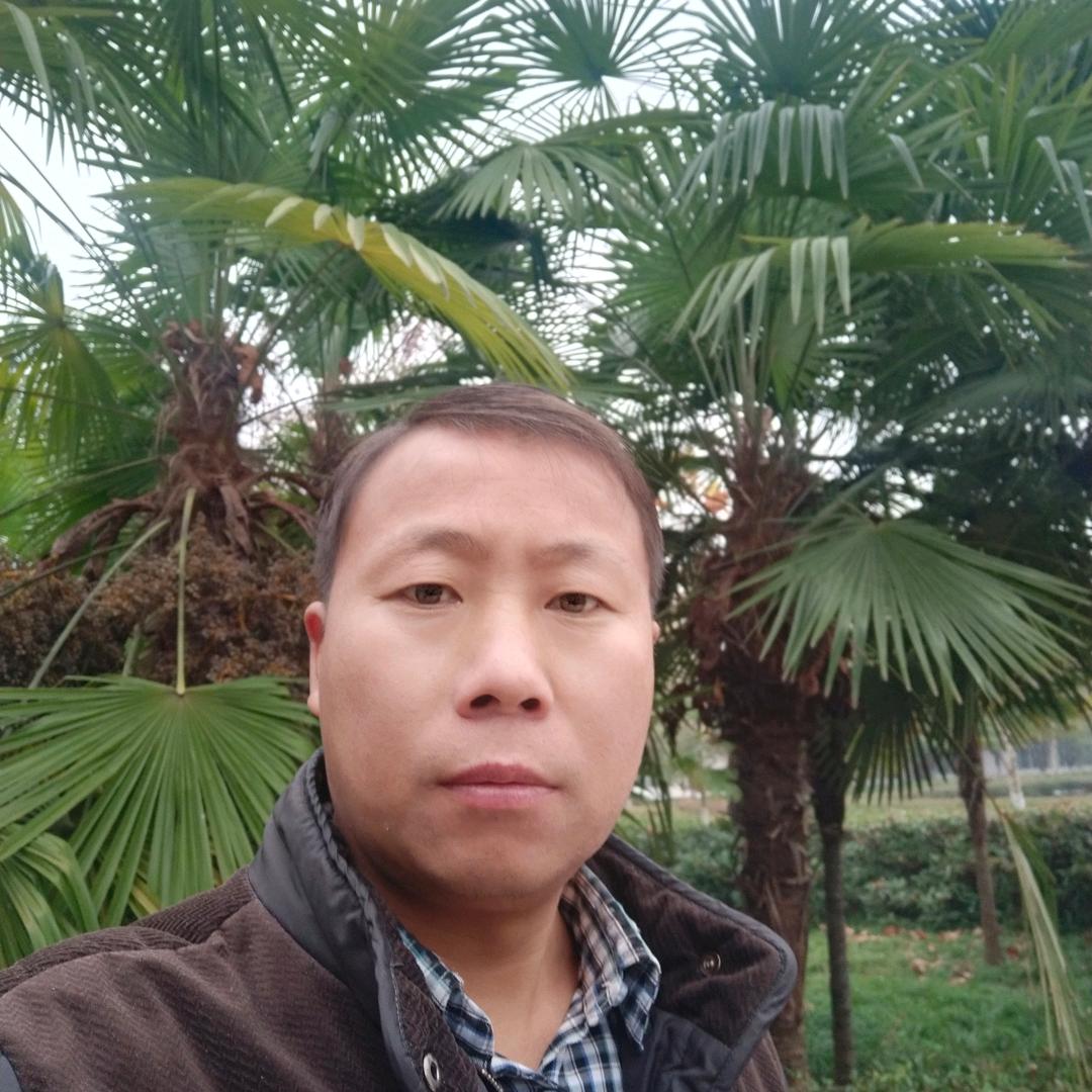 湖北李哥（好物在橱窗）
