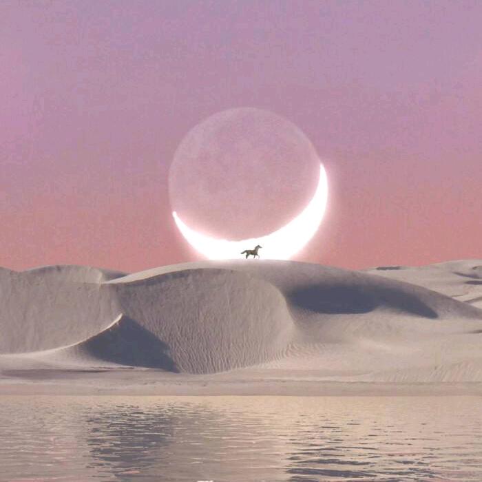 Never Lost