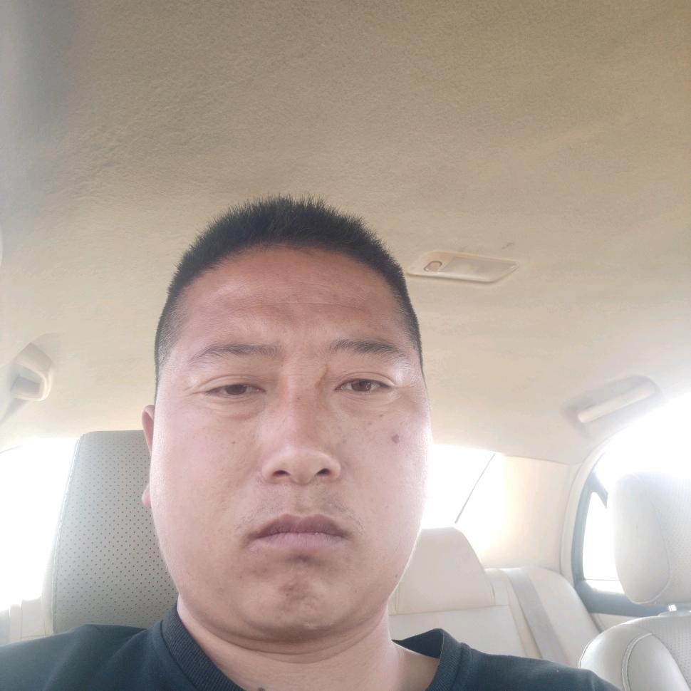 河南表哥
