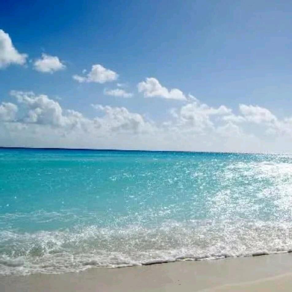 能离开的终究不是最爱的