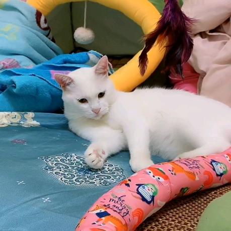 ＆雪｡◕‿◕｡