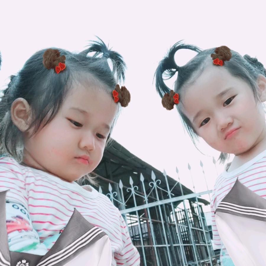 椰子树