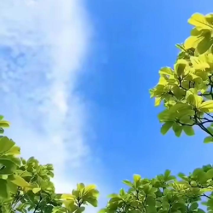 用户3378335642289刘莹