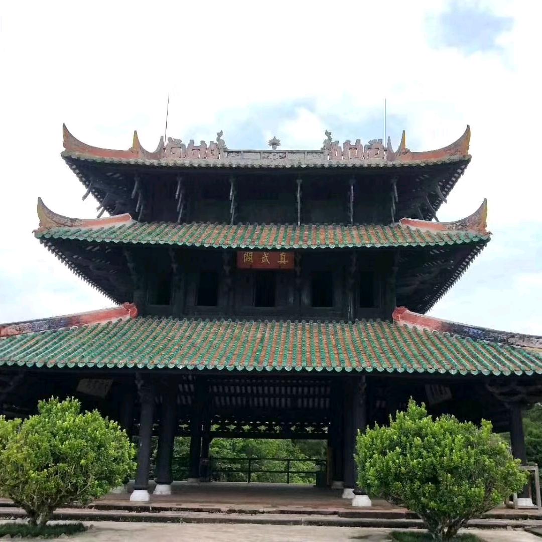 励志小植