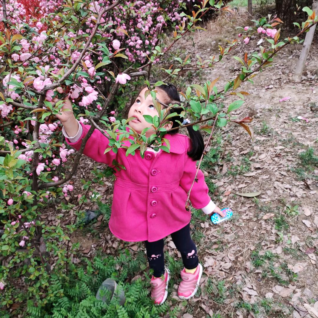 转角遇到打劫的