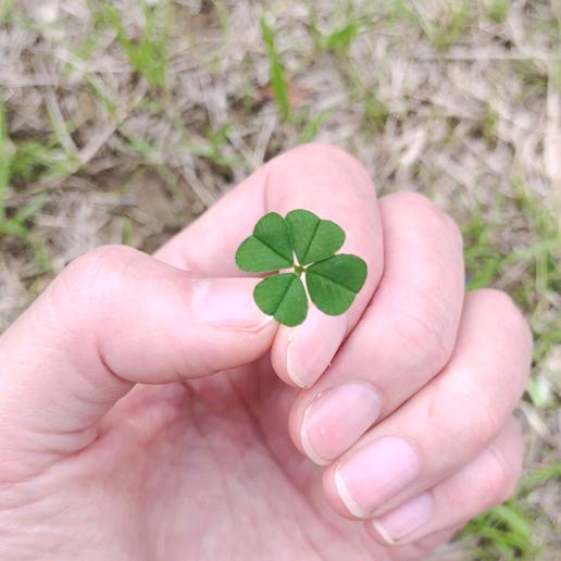 🍀紫童