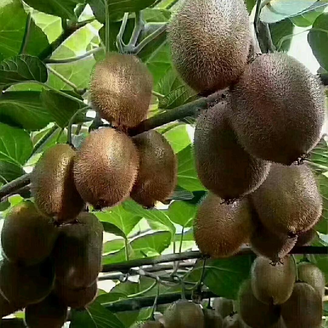 dy7zbdmilvi1，刘宇