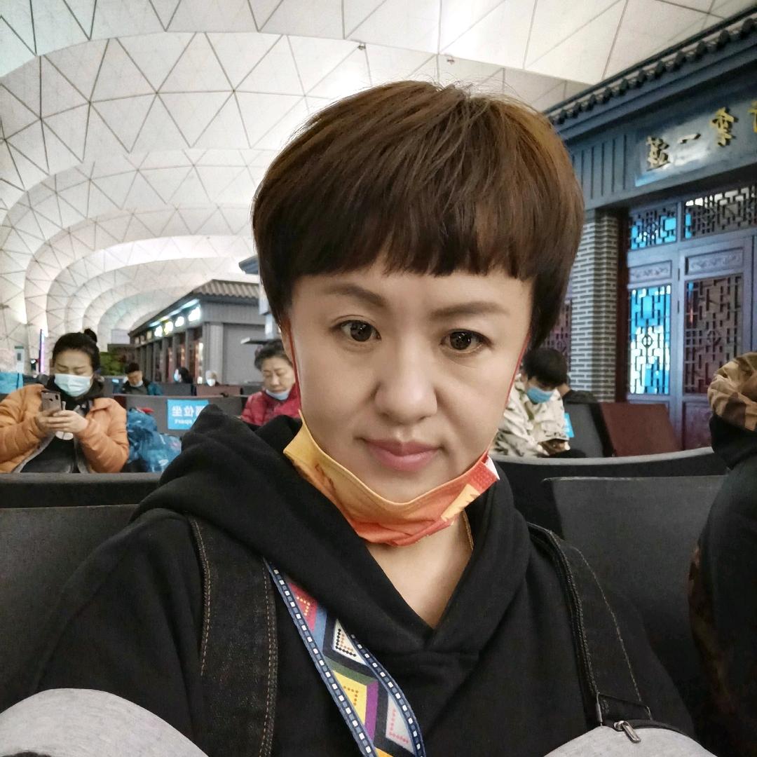 阳光下的向日葵