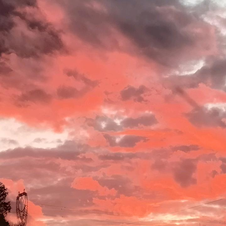 @大叔ᝰꫛ爱财ꪝ: 🚬