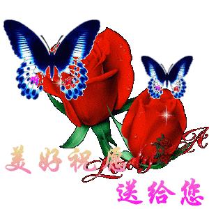 之小云