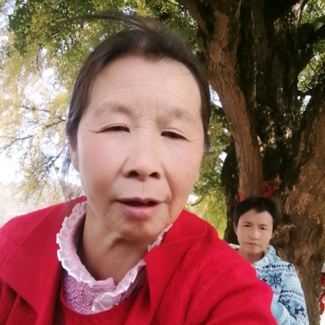 王学珍