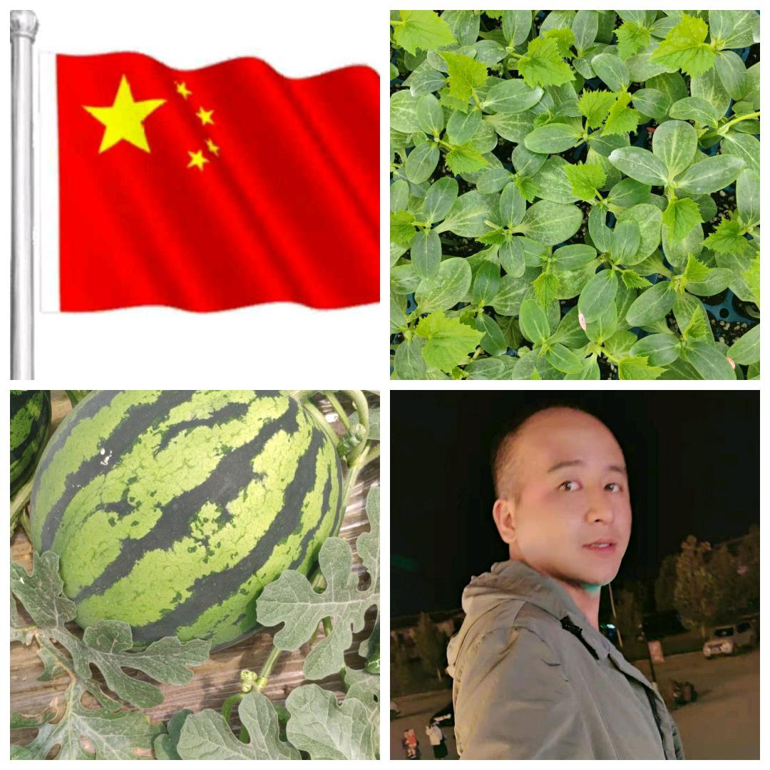 海生🍉代收🥒嫁接团队