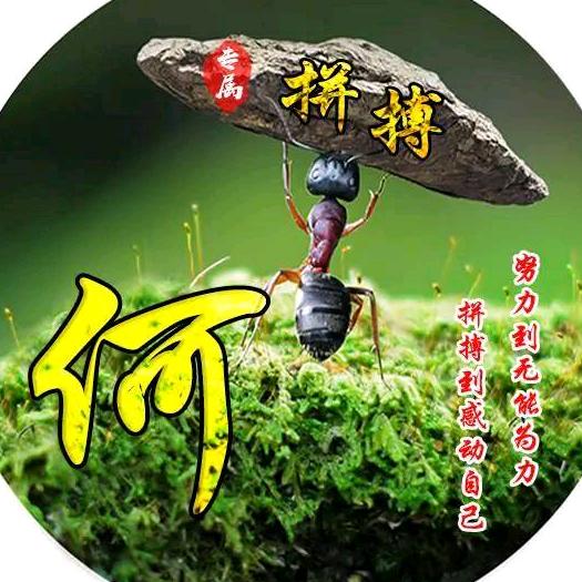 潮湿的心