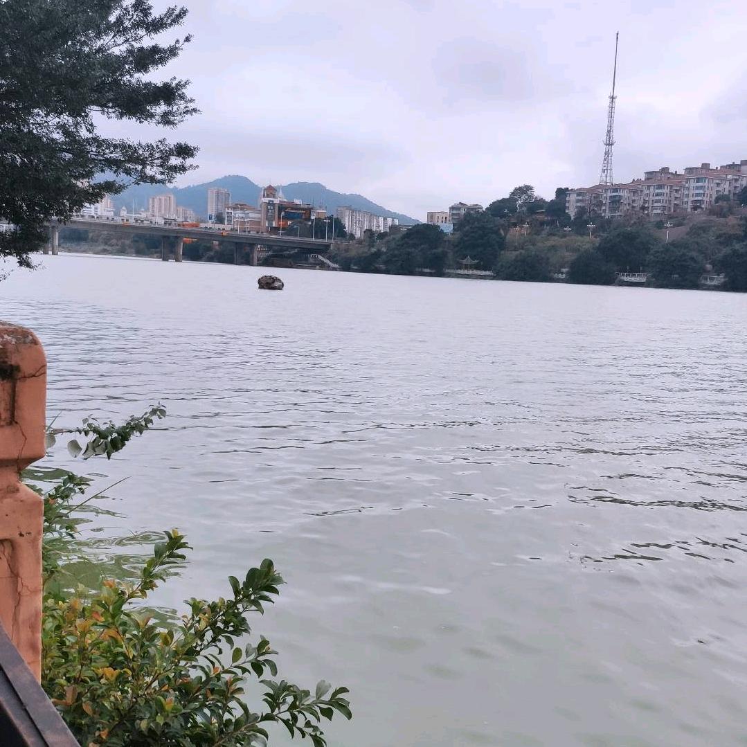 晨泽电商