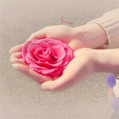 @芬芬
