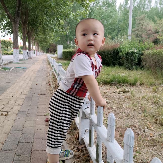 皓小白