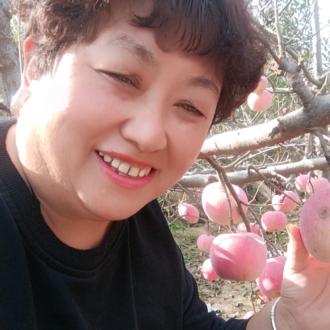 天山雪莲〈承蒙厚爱〉