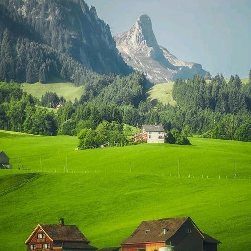 珍爱和平！开创未来！