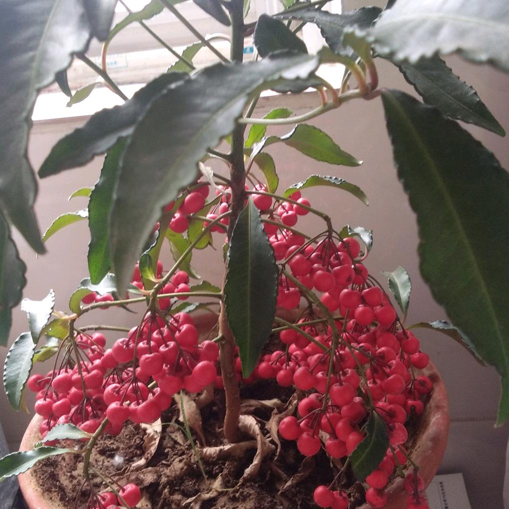 我还是我？？？嗯！