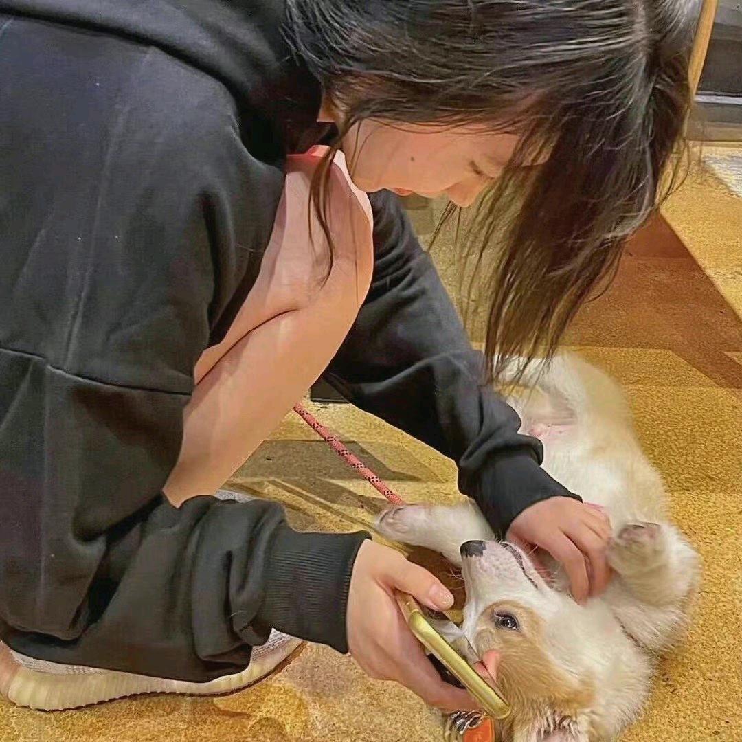 呆小朱der日常ᝰ