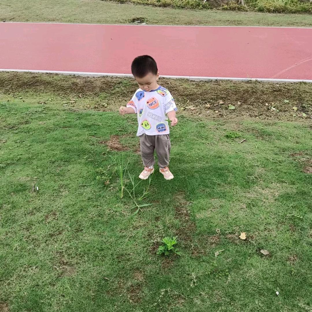 啊    珍