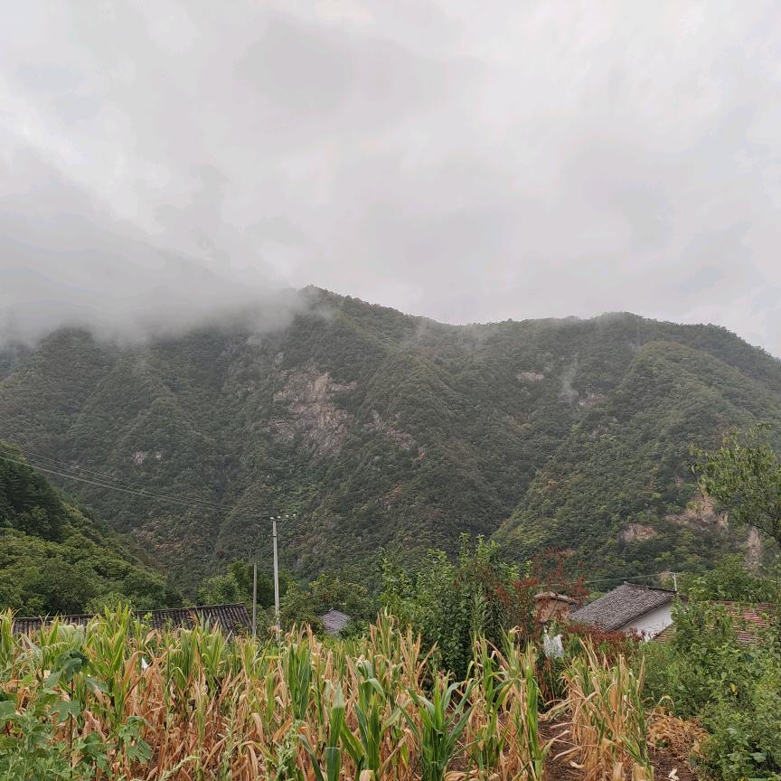 乐沃兴园艺肥料