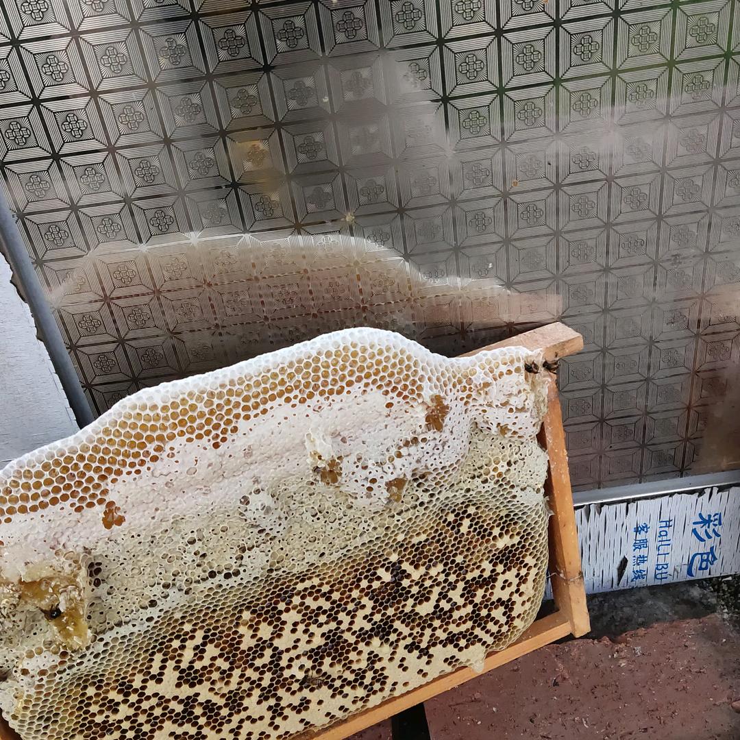 营山养蜂