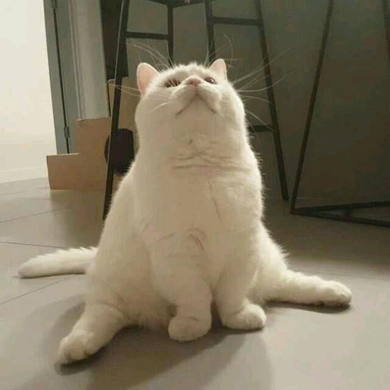 林林来咯