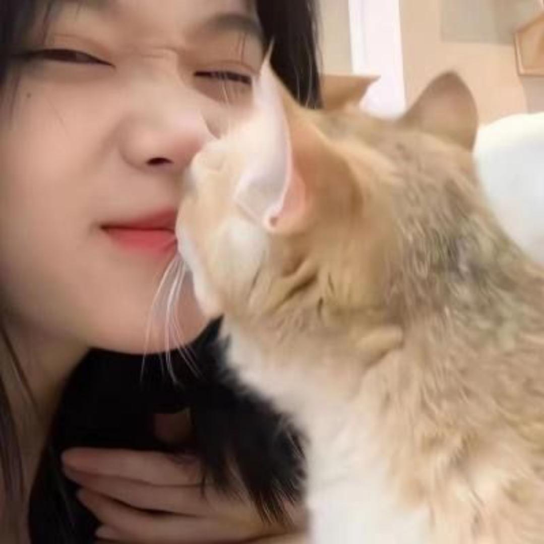 加辣土豆饼