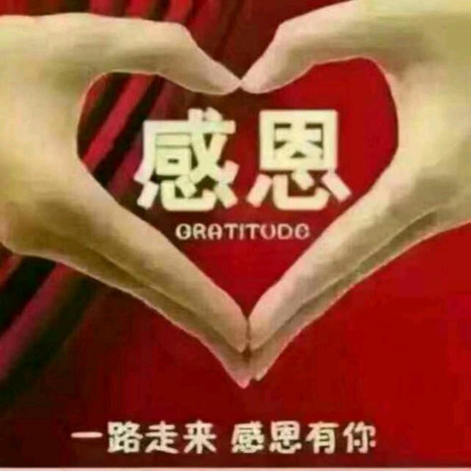 邓州市小杨二手车极速汽修