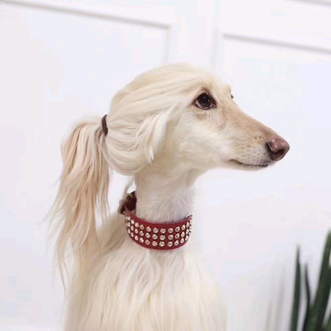 狂风不羁→