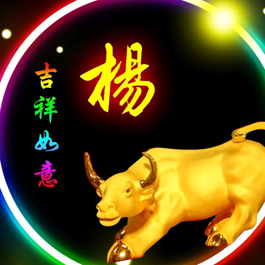 杨金华
