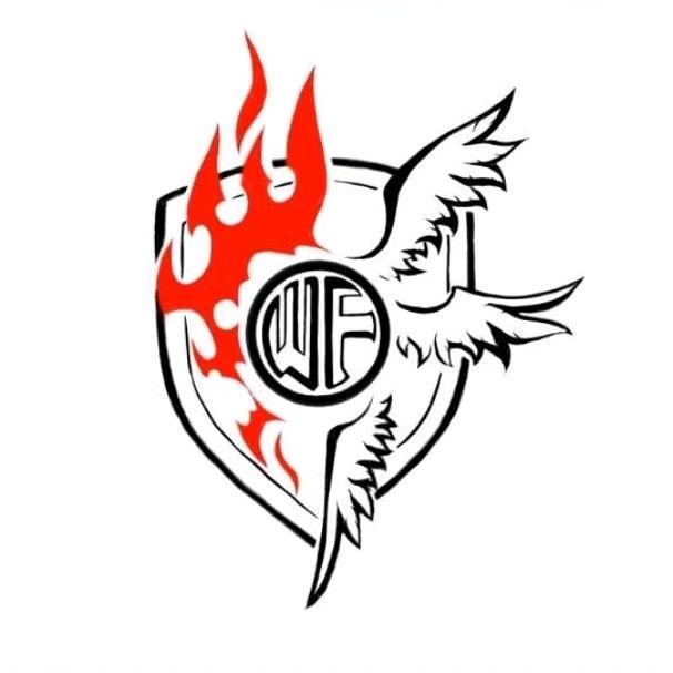 文法学院足球队