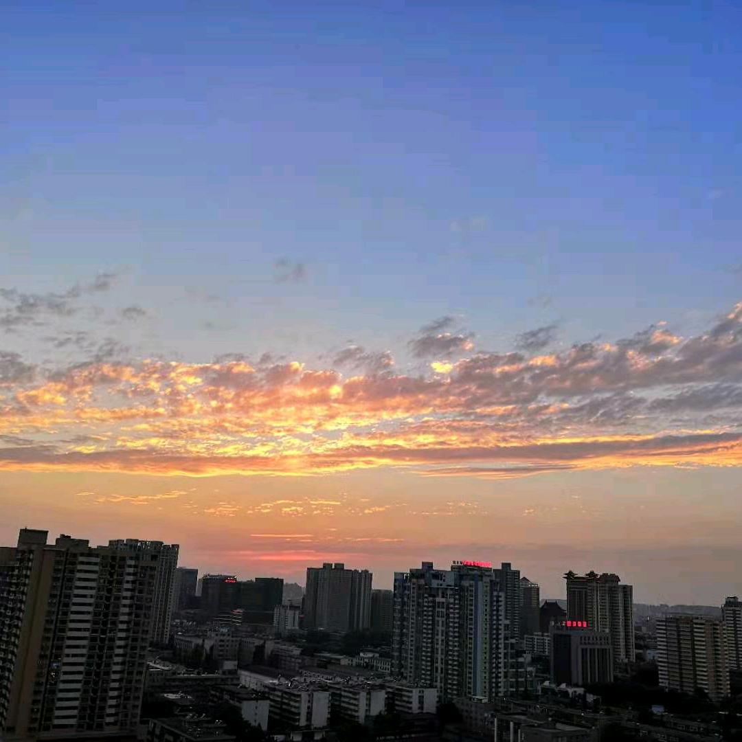 癞蛤蟆娶青蛙🐸🐸🐸