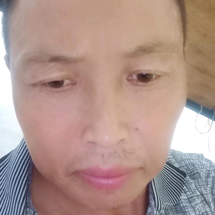 楊大郎直播聊天哥