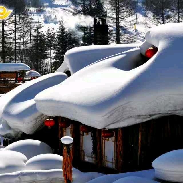 美丽人生1543247250