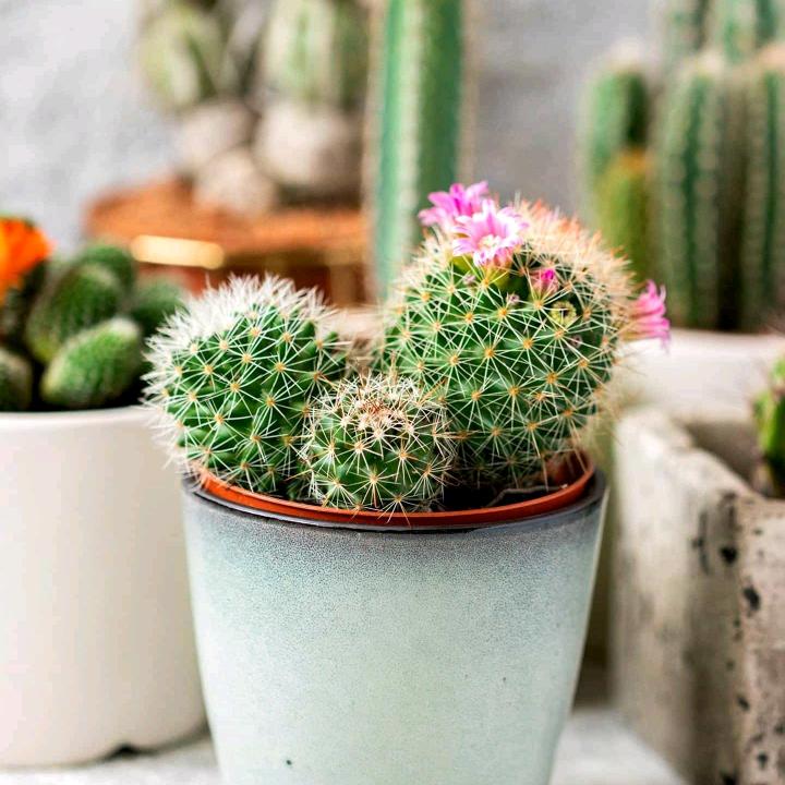 暮然