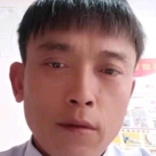 蜜蜂哥