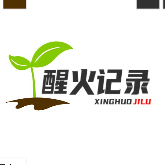 醒火记录