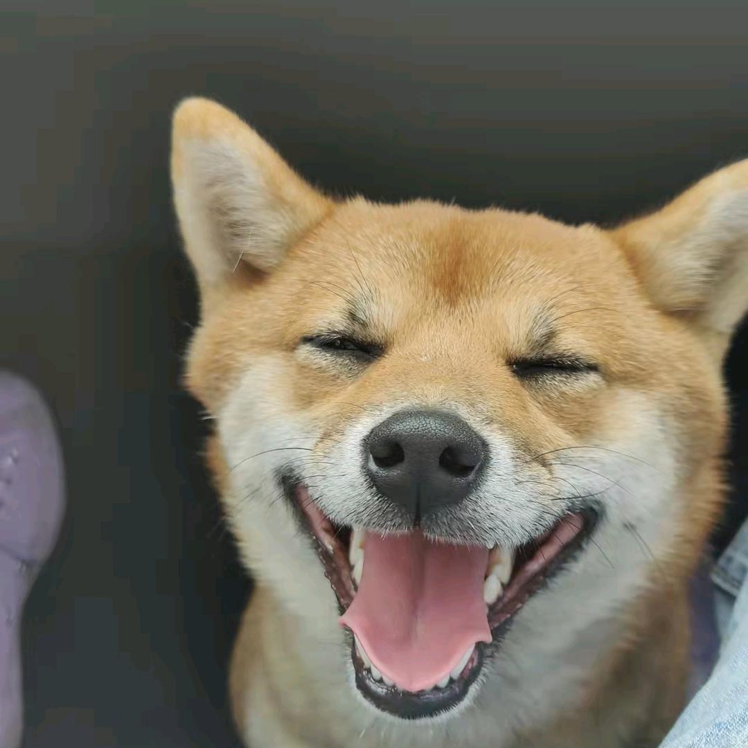 唐前凤369