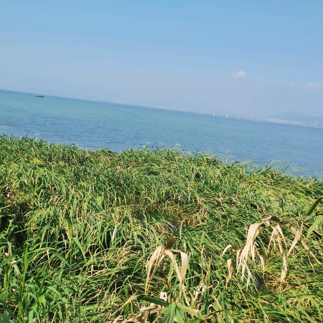 小的海洋
