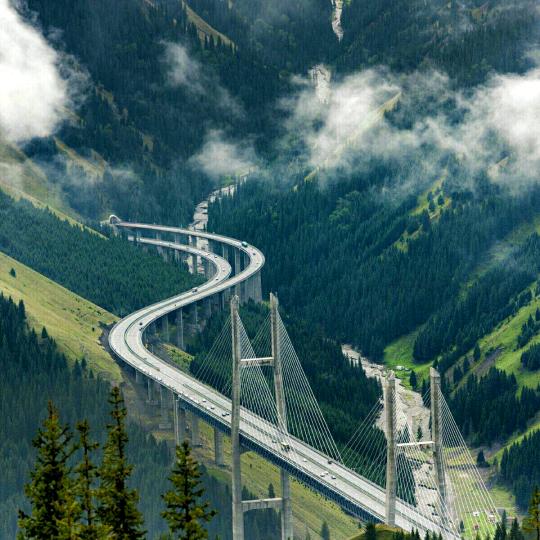 你就是我的小星星