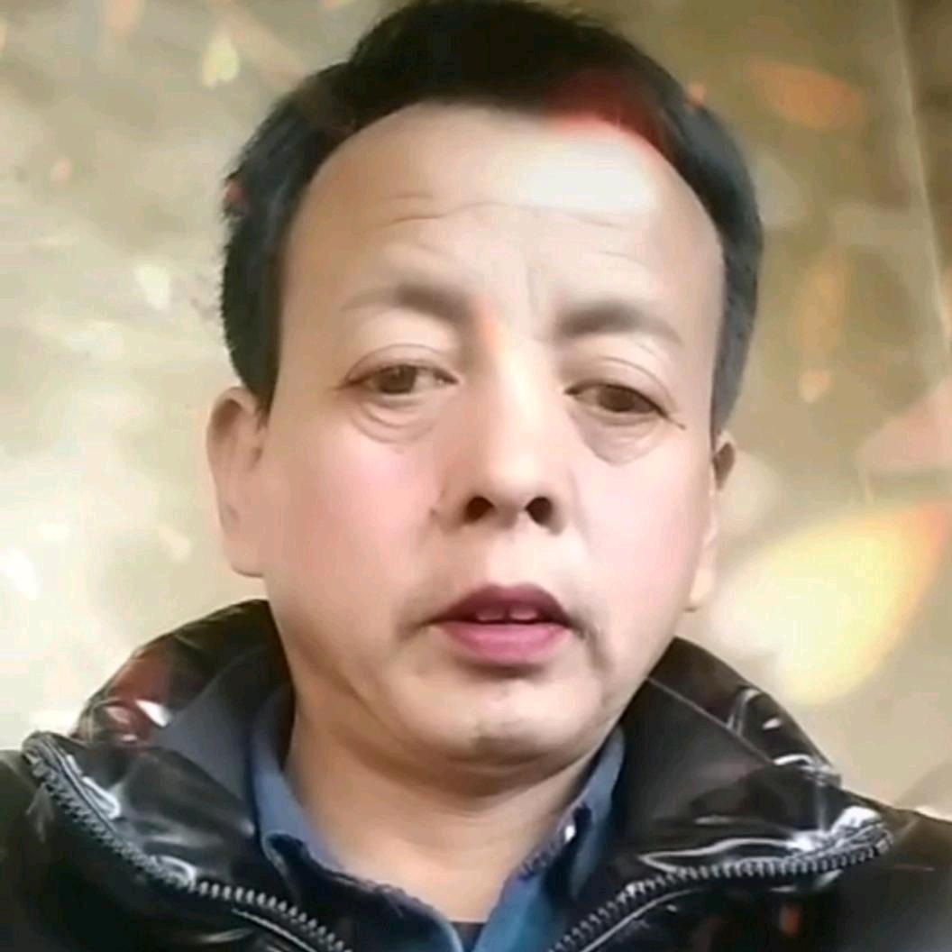 强汉鸽舍-富友🌴🌴（青松）🌴🌴