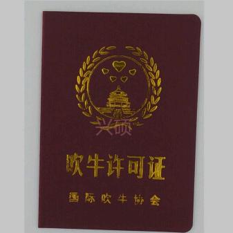 牛逼公司总经理