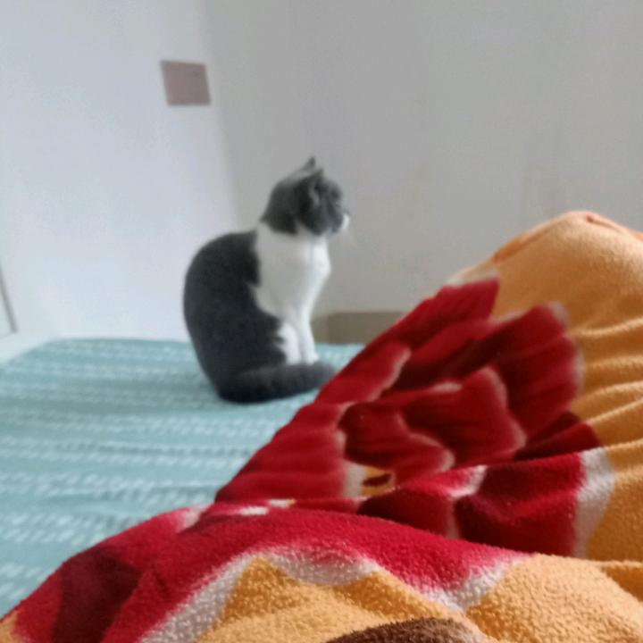 谢谢你